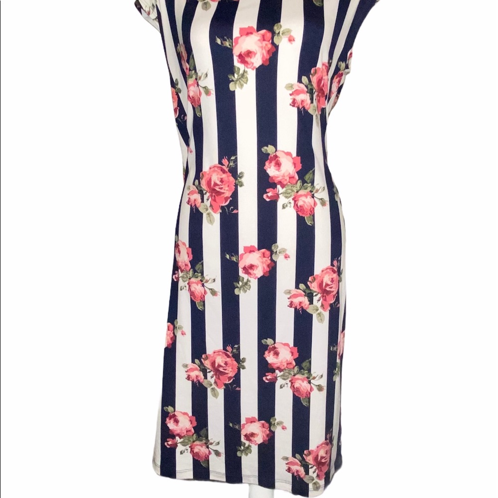 Blue and White Stripe Floral Fitted Dress Large